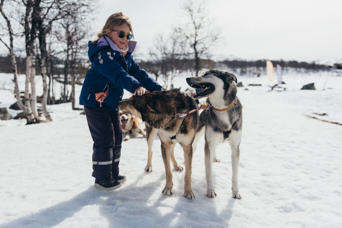 Child and huskies on snowy mountain in Norway