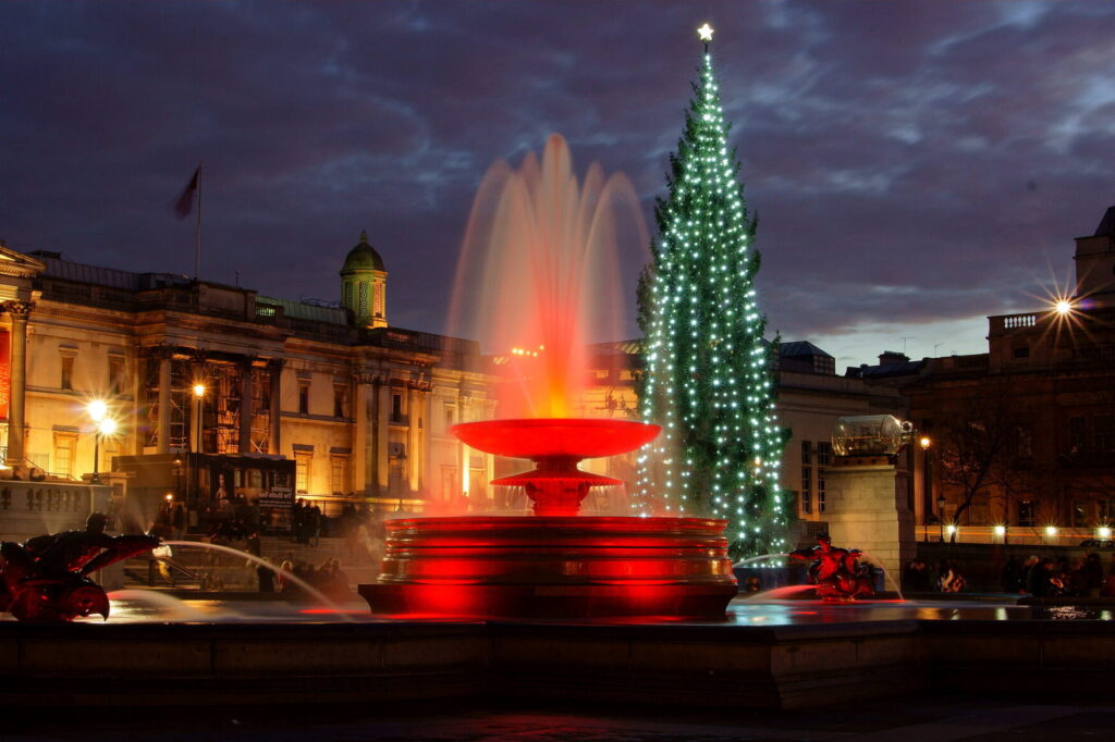 Trafalgar Square Norwegian Christmas Tree London
