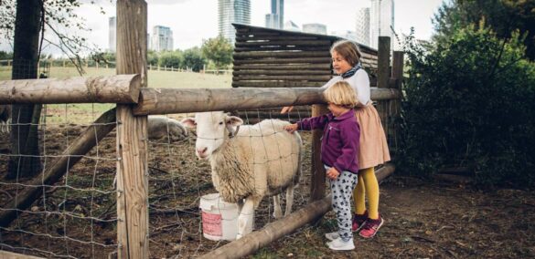 children on city farm london