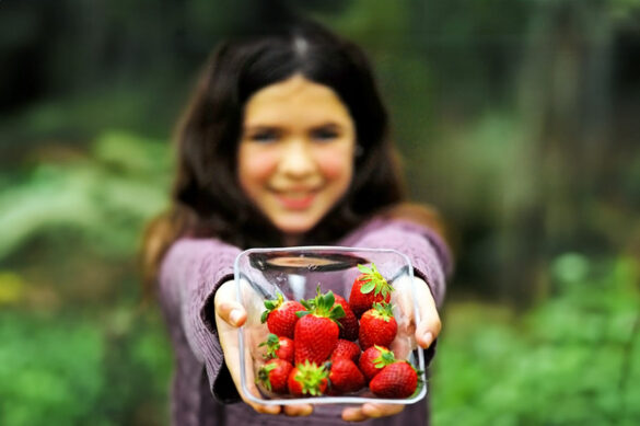 girl with punnet of strawberries