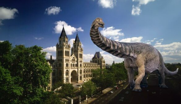 titanosaur london natural history museum dinosaur